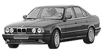 BMW E34 P206E Fault Code